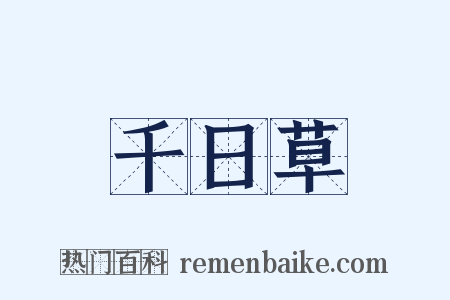 千日草是什么意思的图片